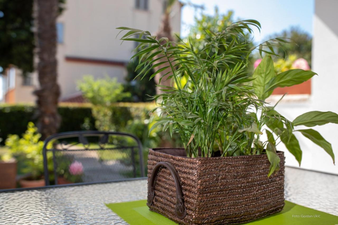 Apartman Luka Rovinj Exterior photo